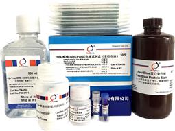 Tris-醋酸-SDS-PAGE電泳試劑盒（變性電泳，含預(yù)制膠）